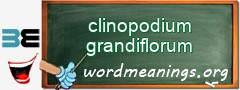 WordMeaning blackboard for clinopodium grandiflorum